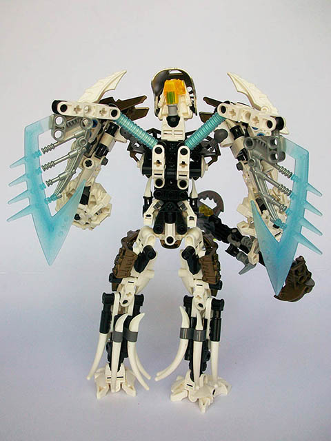 back.jpg