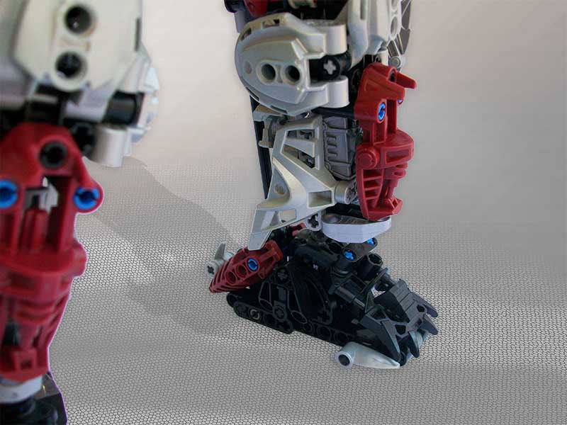 leg.jpg