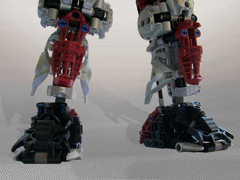 legs.jpg