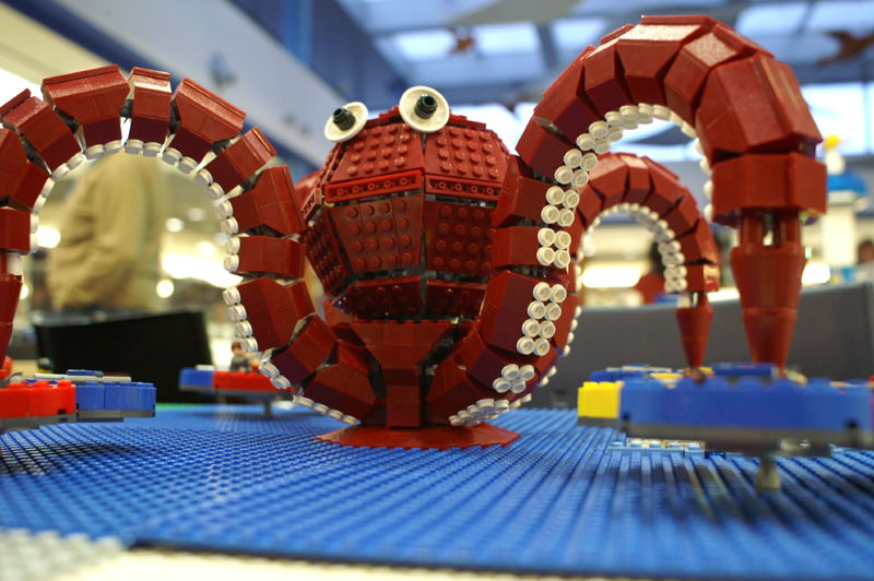 pulpo03.jpg