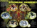 visorak_3.jpg