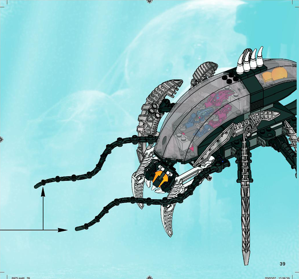 spider_crab.jpg