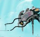 spider_crab.jpg