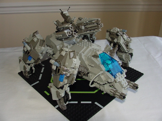 tm1.jpg