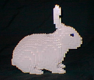 bunny3.jpg