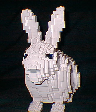 bunny4.jpg