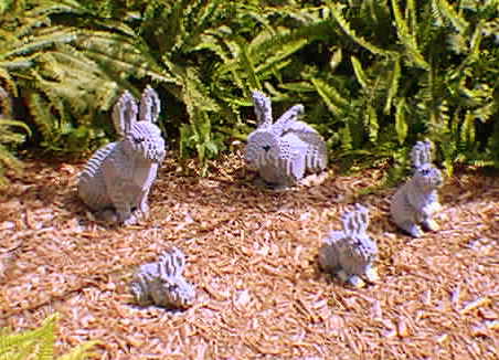 bunny6.jpg