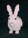 bunny2.jpg