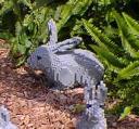bunny7.jpg