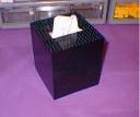tissue2.jpg