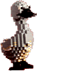 hcaduck.gif