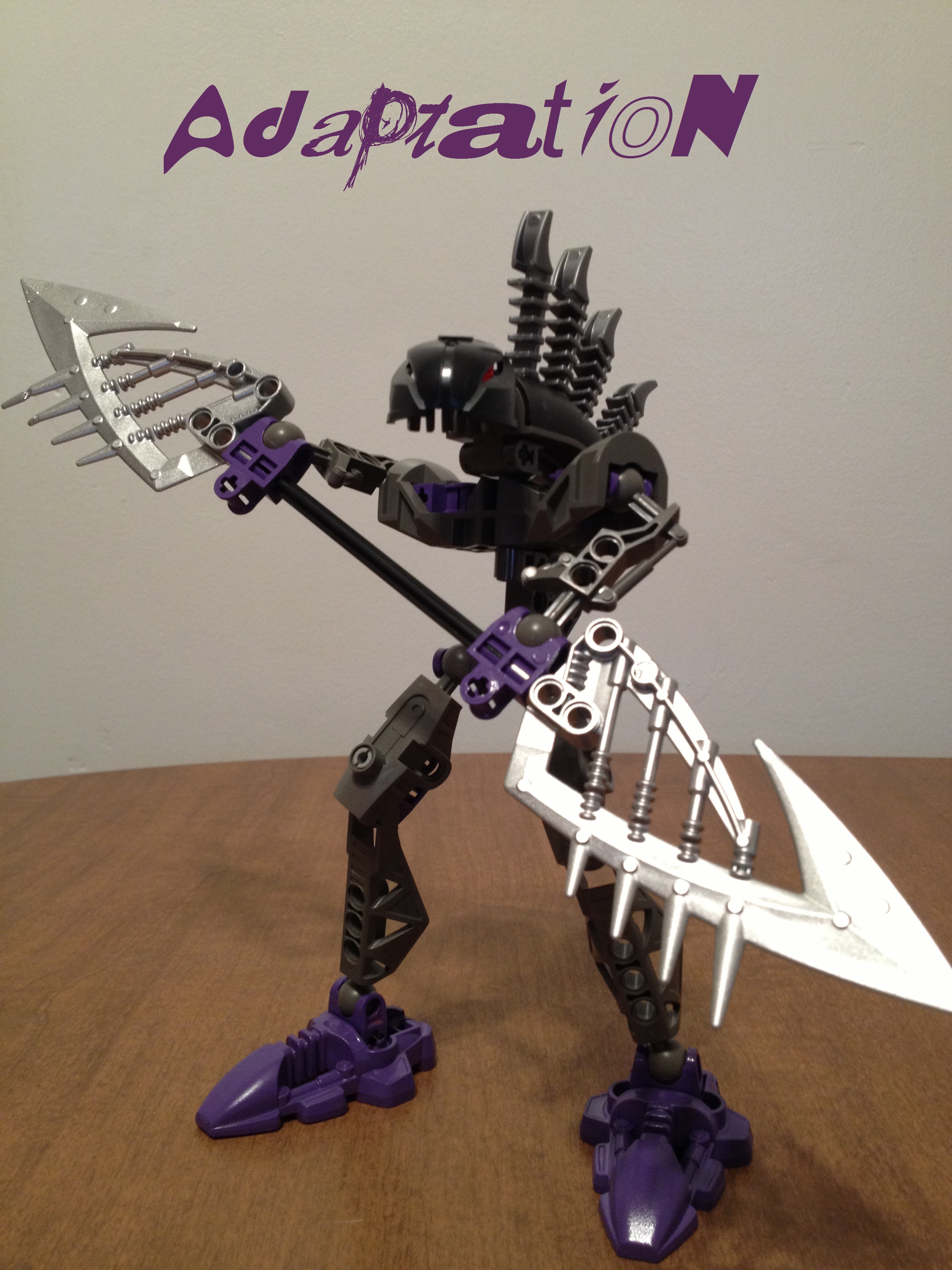 adaptation_1.jpg