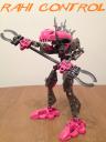 rahi_control_1.jpg