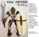 toa_mangai_kintok_1b.jpg