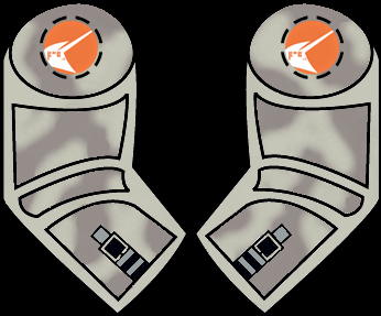 camoarmslogo.jpg