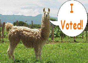 llamavoted.jpg