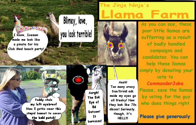new_fbtb_llamas.jpg
