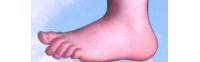 mpfoot.jpg
