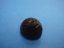 dsc07285.jpg