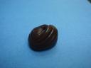 dsc07286.jpg