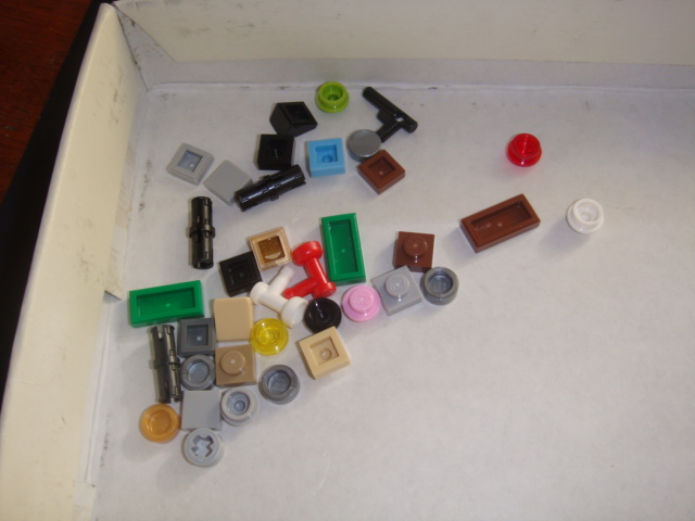 dsc08495.jpg