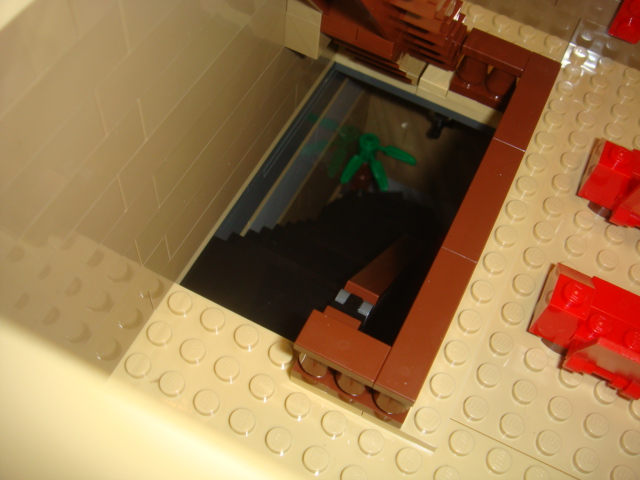 dsc08556.jpg