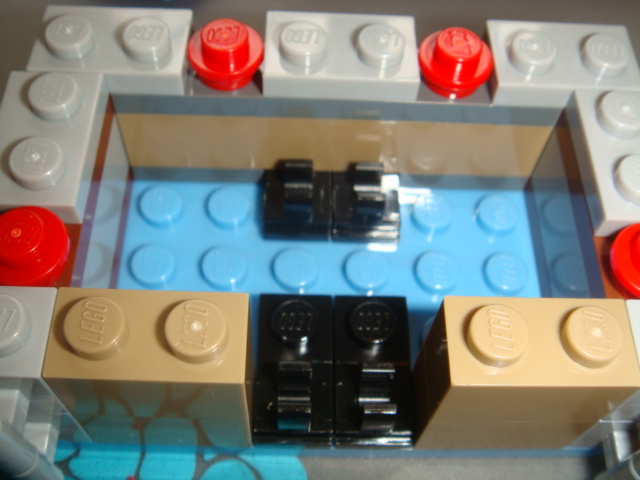 dsc08610.jpg
