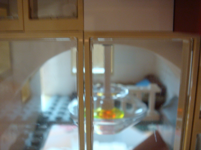 dsc00261.jpg