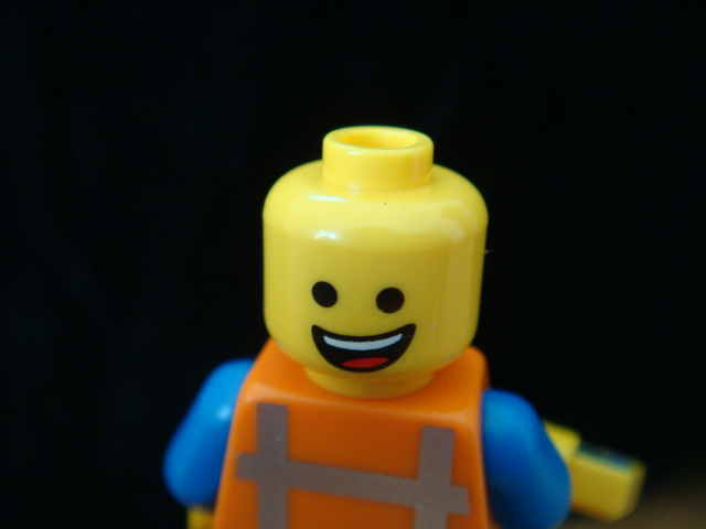 dsc00921.jpg