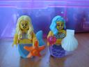 dsc00965.jpg