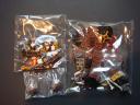 dsc01743.jpg