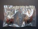 dsc01744.jpg