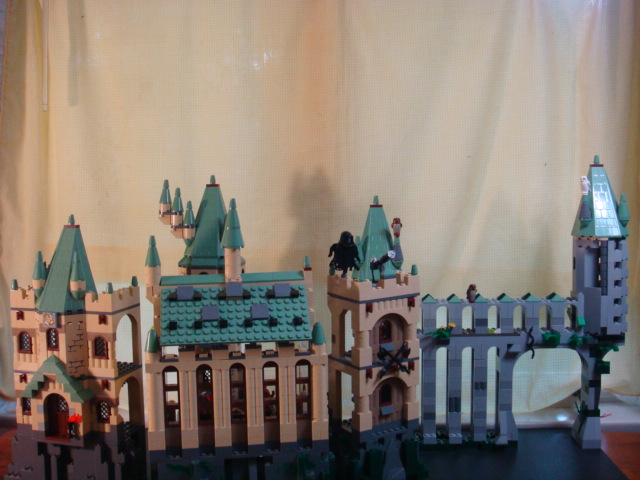 dsc05315.jpg