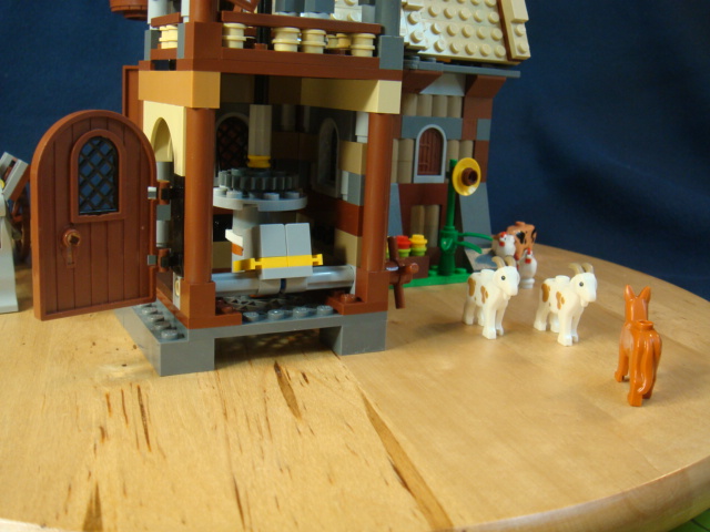 dsc03104.jpg