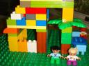 neo_img_dsc04932.jpg