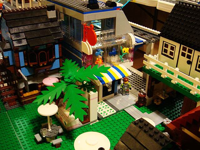 neo_img_dsc05501.jpg