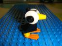 dsc04174.jpg