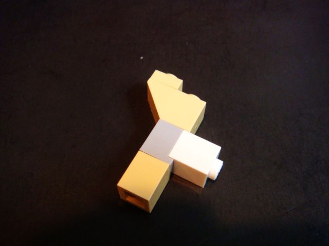 6560.jpg