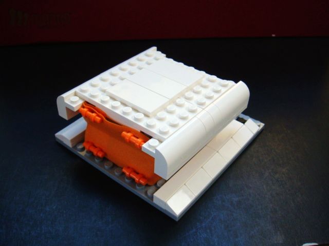 6593.jpg