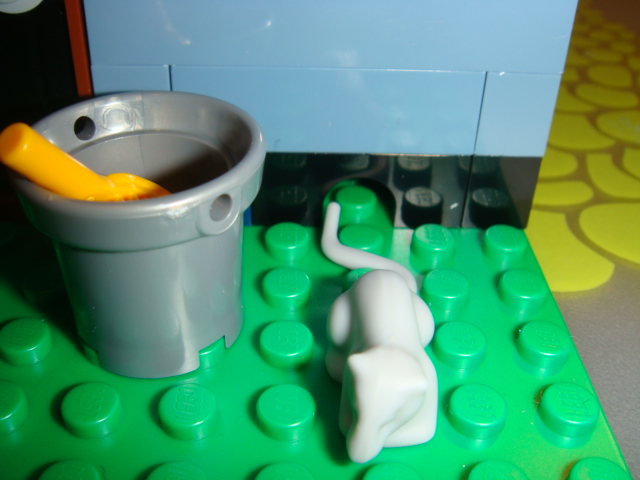 dsc02899.jpg