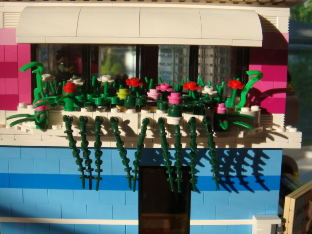dsc07688.jpg