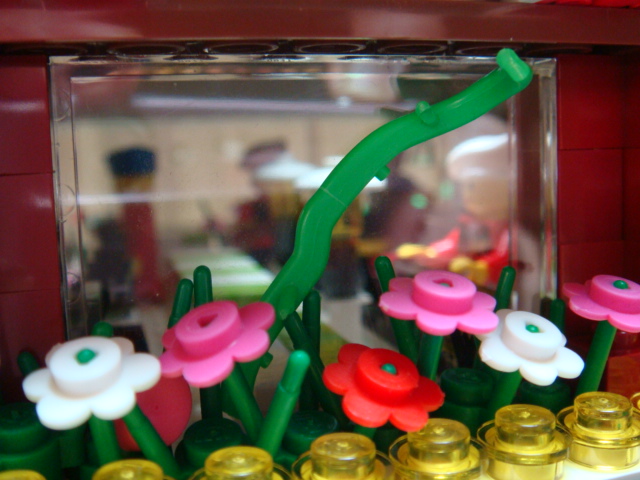 dsc08243.jpg