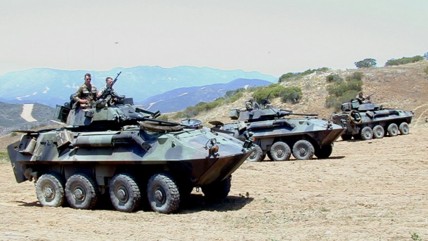 lav-25.jpg