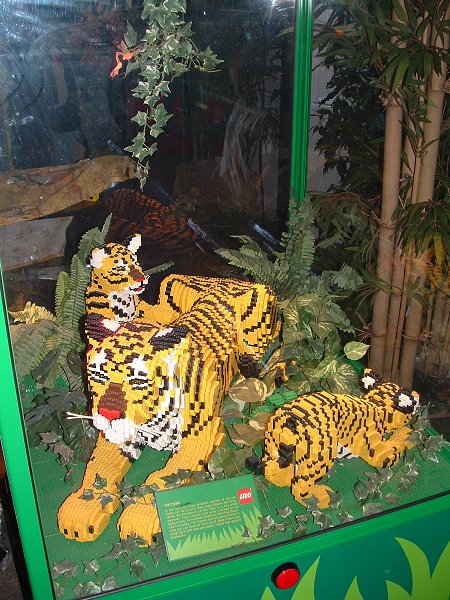 23-02_tigers.jpg