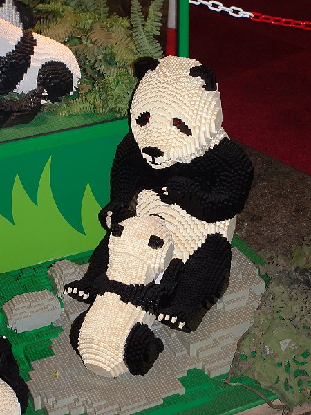 23-03_pandas.jpg