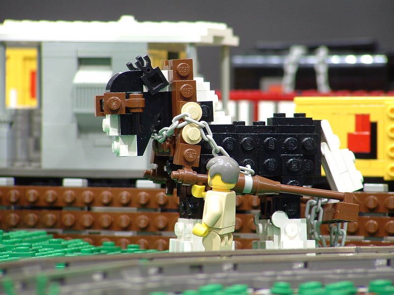 28_getcha_rose_fertiliser.jpg