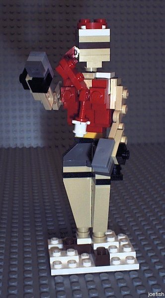 larac_3_1.jpg