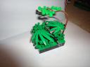 dsc01557.jpg