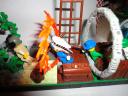 dsc01561.jpg