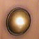 dalek_panal.jpg
